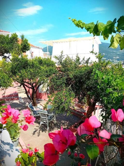 Villa Duka'S Gardenhouse à Skopelos Extérieur photo
